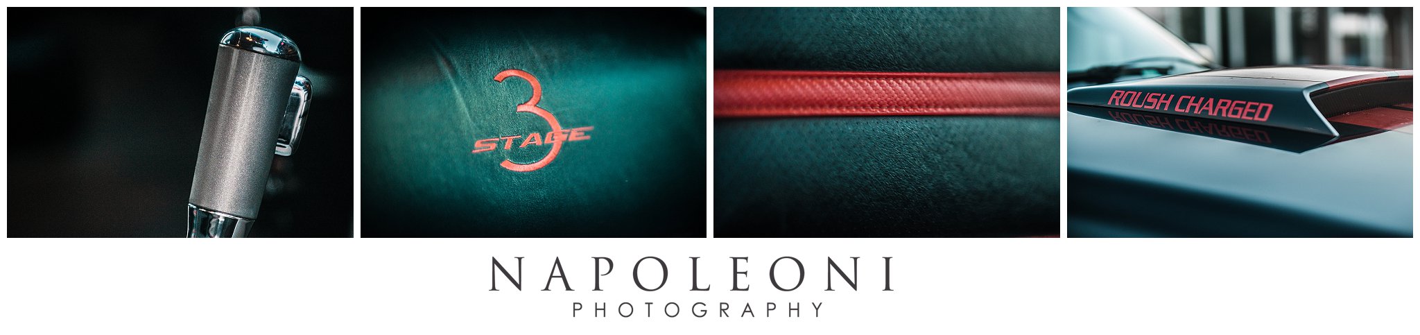 NapoleoniPhotographyLLC_3502a